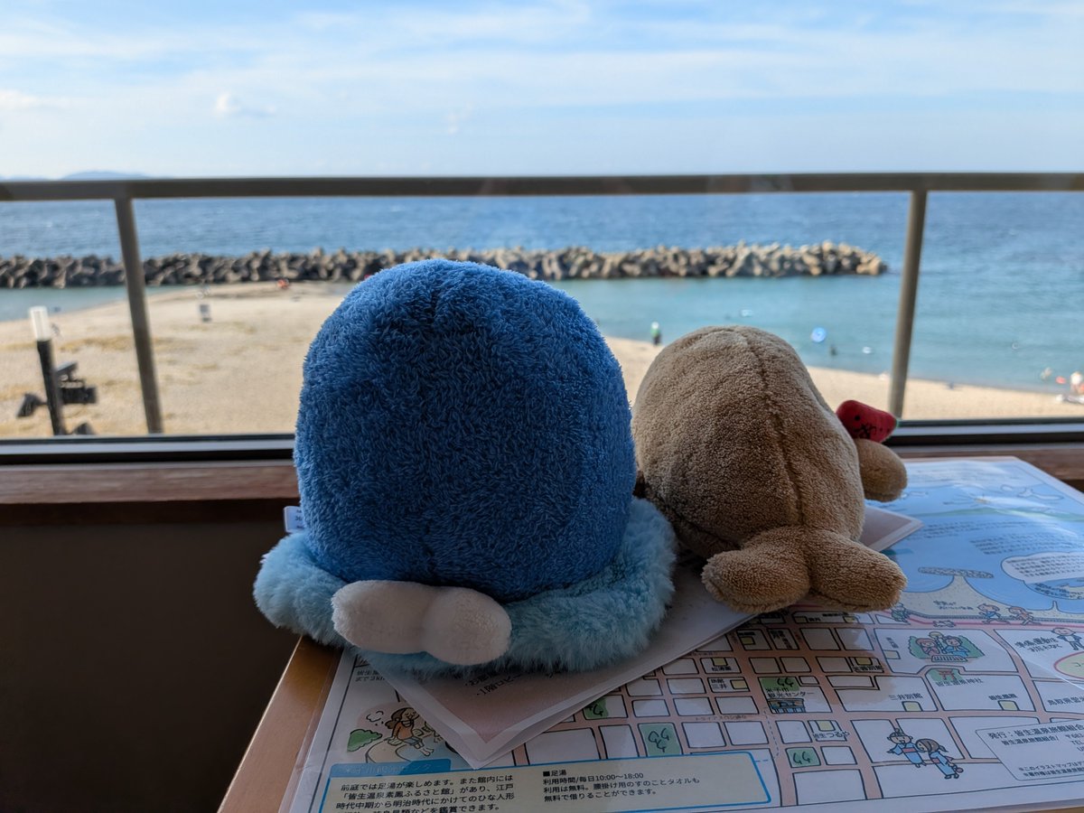 tiger_of_diment's tweet photo. 日焼けたんと海坊主たんを連れてきたきゅー（海を見てるだけ） https://t.co/aID2GKkAxi