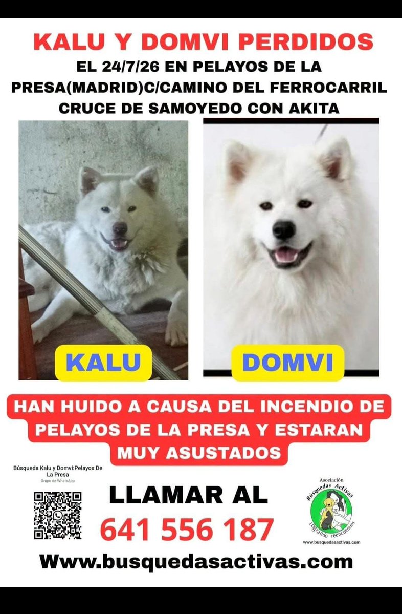 AcofalX's tweet photo. Madrid 👆🏽
Desaparecidos a causa del incendio. Salieron huyendo. Los estan buscando con desesperación 🙏🏽 https://t.co/qq6HnDsF3n