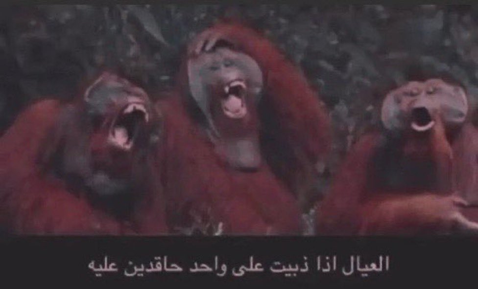 ir56tr's tweet photo. @N_Newcastle https://t.co/OFO9GhBjAq
