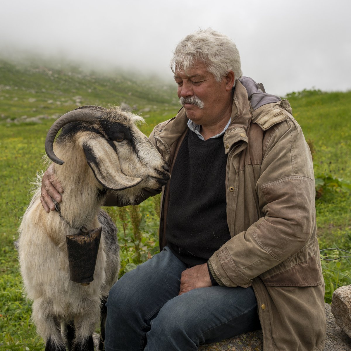 bpthaber's tweet photo. Karadeniz'de 2500 metre rakımlı Kaçkar Dağları yaylalarında yaşayan halk: https://t.co/ipuJ8vrfBJ