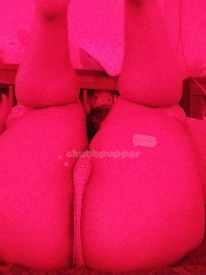 chubbpupper's tweet photo. 〰︎〰︎〰︎    ʚෆɞ   〰︎〰︎〰︎
এ𓏲˙∘٭  #nsfwtwt 𝑖𝑛𝑡𝑟𝑜 
ʚɞ 19 𓏲  𝑠ℎ𝑒 / ℎ𝑒𝑟 ٭˙
    ʚɞ 𝑀𝐷𝑁𝐼,  ☺︎
         ʚɞ 𝑏𝑖𝑠𝑒𝑥𝑢𝑎𝑙,  𝑠𝑤𝑖𝑡𝑐ℎ 𝑙𝑒𝑎𝑛𝑖𝑛𝑔 𝑠𝑢𝑏 

এ𓏲˙∘٭ 𝑜𝑘𝑎𝑎, 𝑚𝑢𝑎𝑎𝑎 
〰︎〰︎〰︎    ʚෆɞ   〰︎〰︎〰︎
.          ♡  𓏲  ↺ 𓏲  ✔ https://t.co/DUzmMiQITb