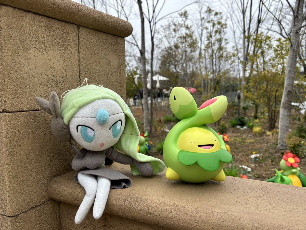 Kimujolno's tweet photo. ポケモンさん神すぎる😭ありがとうございます😭

ポケパークカントーもめちゃくちゃ神でした✨️この恩は一生忘れない😭

ポケモンに俺は一生ついて行く！

がまだせ熊本🔥火の国魂魅せるんや🔥 https://t.co/c3GrTtZCxx