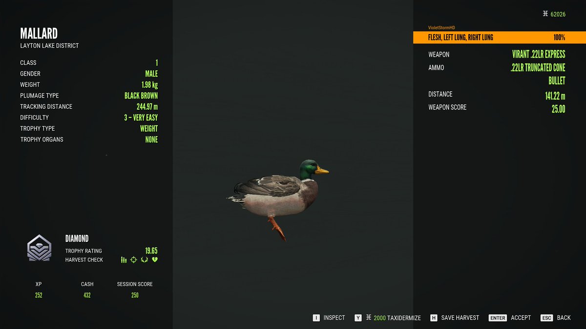 VioletStormHD's tweet photo. First diamond Mallard, and piebald Whitetail Doe in #theHunterCOTW https://t.co/n0PBVJ7YtU