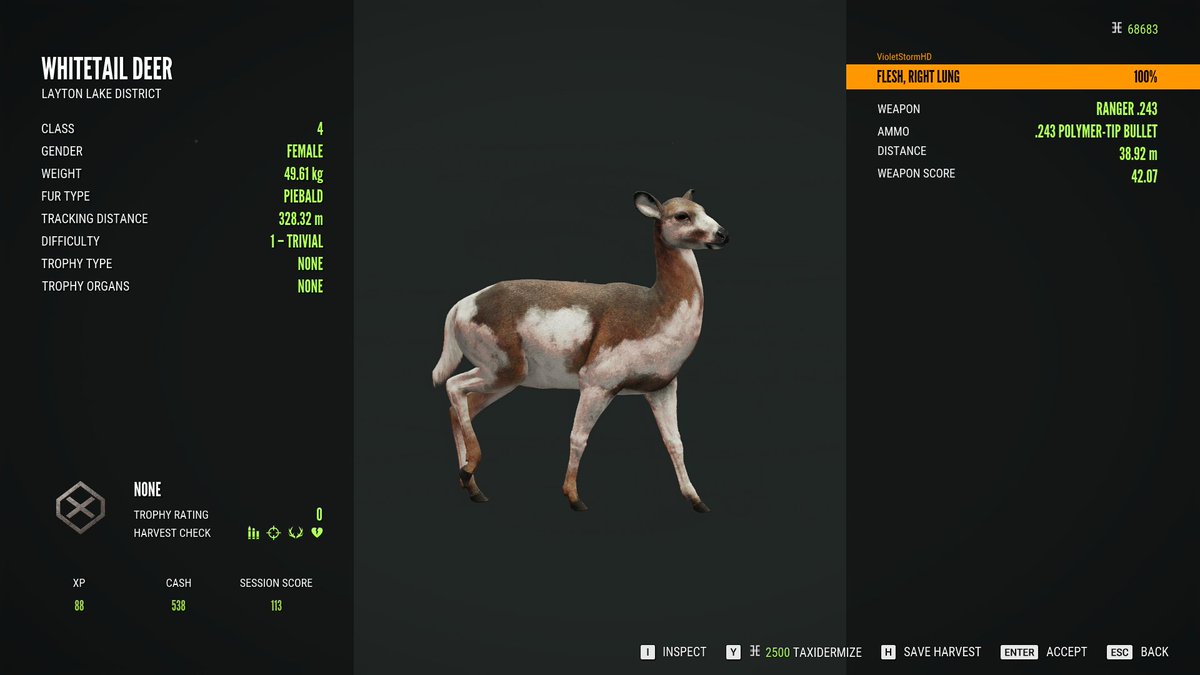 VioletStormHD's tweet photo. First diamond Mallard, and piebald Whitetail Doe in #theHunterCOTW https://t.co/n0PBVJ7YtU
