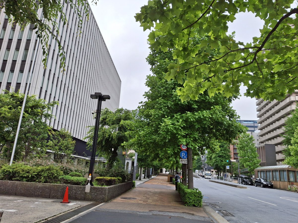 kaiai_VG's tweet photo. 6月の東京 https://t.co/C9GD5F6ehZ