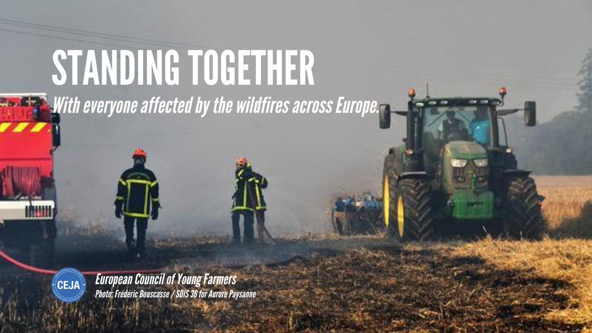 _CEJA_'s tweet photo. Standing together. ❤️‍🩹

Our thoughts are with everyone affected by the devastating wildfires across Europe. 

Thank you to the firefighters, emergency responders, farmers, civil protection teams and volunteers protecting lives and rural communities.

Stay safe. https://t.co/zAj4VUf0Fc