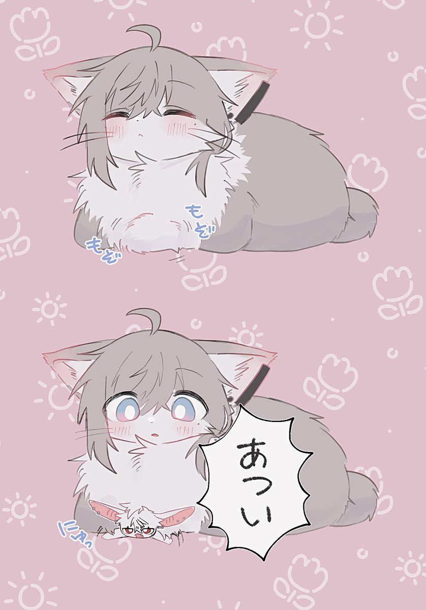 Gloria___0's tweet photo. あちあち🛌ねここうもりのわーる https://t.co/W61Mn9m8Ie