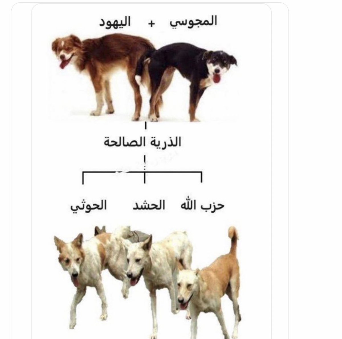 bneb5z's tweet photo. لانتكاثر استهدافهم والظاهر يحتاجون الى اكثر حتى يتأدبون هم ومن يدافع عنهم https://t.co/p8Nlfga661