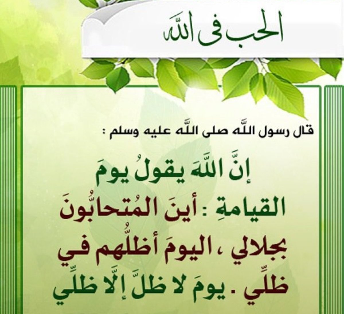 r88415691's tweet photo. @Manal_Al_Ward https://t.co/GVZo6aUJ5a