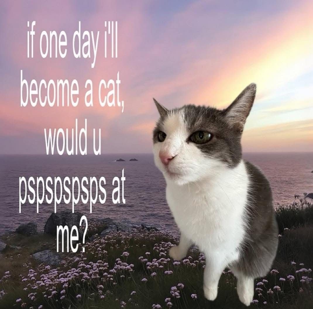 sillymeow4u tweet picture