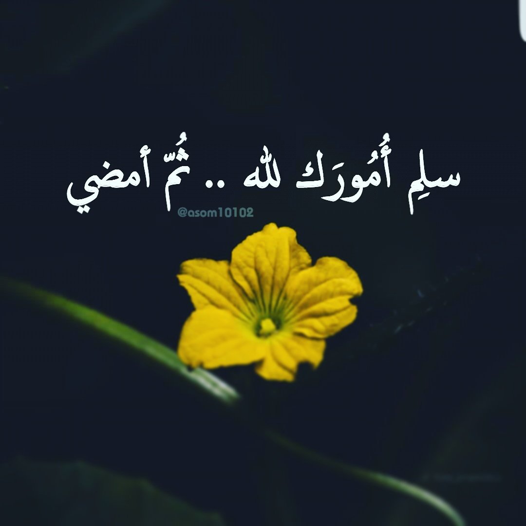 asom10102's tweet photo. @Risslh https://t.co/sm1HIpy6EP