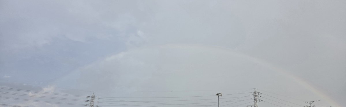 aiailena_'s tweet photo. 🌈 https://t.co/bRWivSft0g