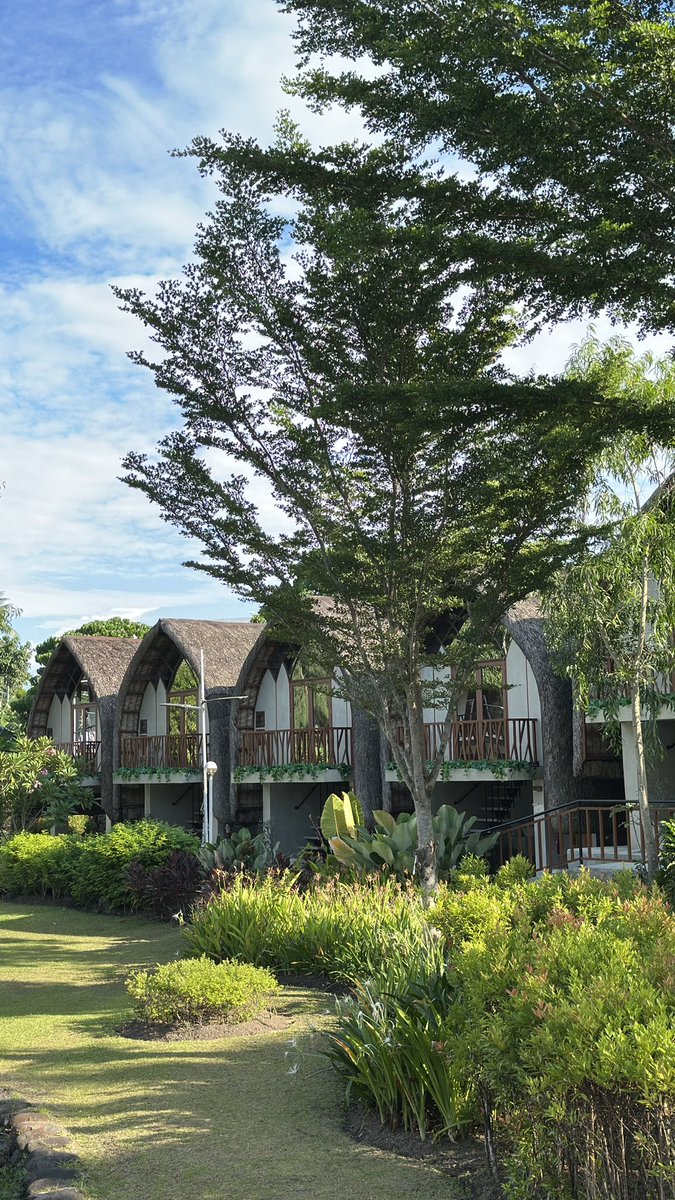 anselmojeffrey's tweet photo. Padiskanso 🍃

📍 Your Brothers House Tribal Village https://t.co/uELvrWgkdG