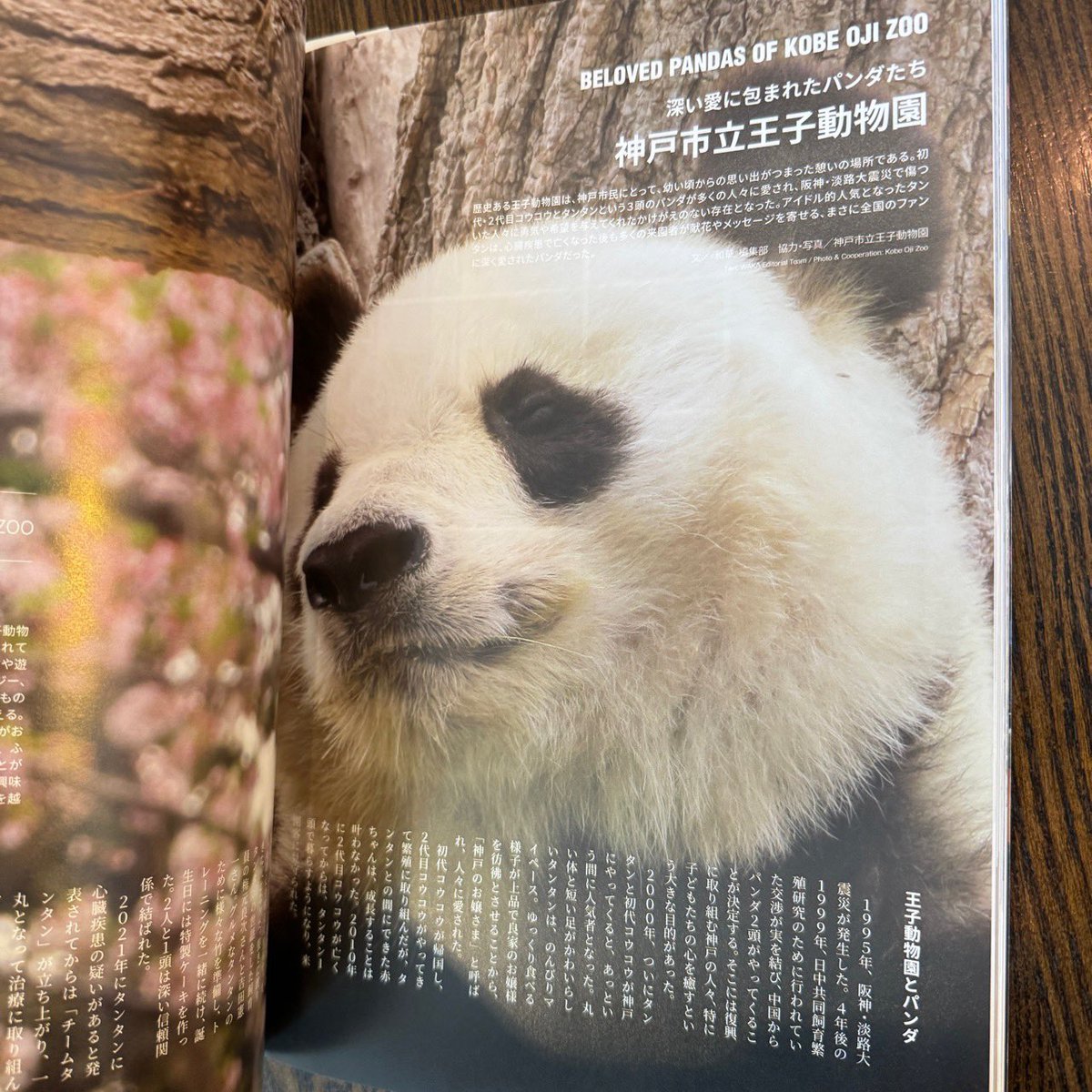 パンダライター 二木繁美｜『水曜日のお嬢様』発売中 (@Pandaexn