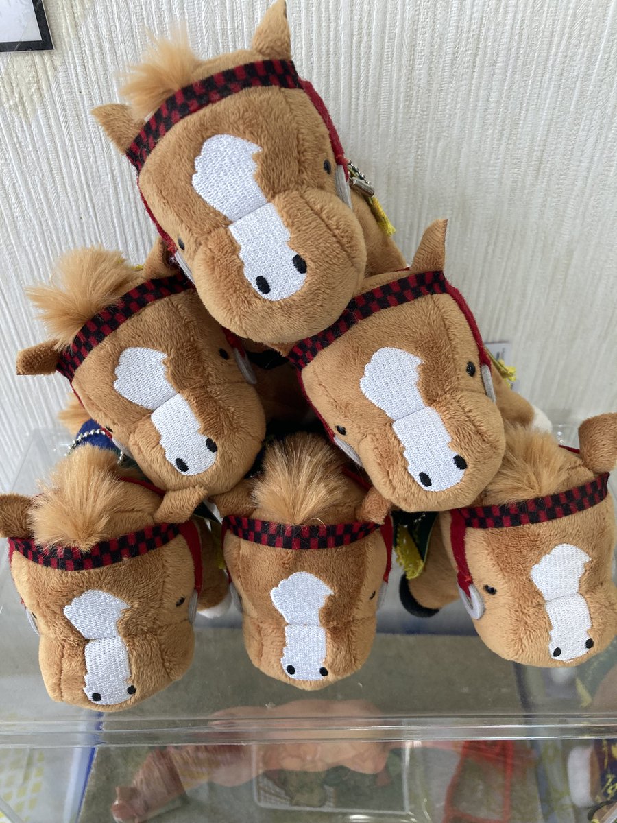 mican63814172's tweet photo. 🐴アチョにおみまい💐ありがと❣️🐶
#オウケンブルースリ #いつも温かい皆様からのお気持ちに感謝🙏 #みんなのアチョくん #AERU引退名馬 https://t.co/QpxzKNnNn6