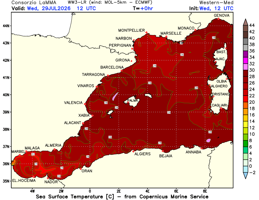 alexmegapc's tweet photo. Mireu com tenim el mar Mediterrani: realment hem normalitzat unes temperatures superficials que fa una dècada eren inimaginables. Una temperatura de la superfície del mar (SST) tan elevada al Mediterrani, amb valors generalitzats de 28 °C a 30 °C com es veu al mapa, actua com un potent motor atmosfèric i pot tenir conseqüències meteorològiques importants. Tot i que per si sola no desencadena efectes com una DANA —ja que sempre necessita inestabilitat atmosfèrica per activar el mecanisme—, és el que anomenem energia potencial. És com tenir una presa on l'aigua, per si sola, no té cap efecte; però si la presa es trenca, l'energia que alliberarà aquesta aigua pot tenir conseqüències molt dolentes. Us poso a tall d'exemple algunes conseqüencies meteorològiques:

1) Combustible per a pluges torrencials: L'aigua molt calenta s'evapora a gran velocitat. Això carrega l'atmosfera d'una enorme quantitat de vapor d'aigua i energia tèrmica (calor latent).

2) Gènesi de "medicanes": Augmenta la probabilitat que es formin ciclons mediterranis amb característiques tropicals.

3) Gotes fredes més violentes (DANA): Quan arribin les primeres depressions o entrades d'aire fred a la tardor, el contrast amb aquest mar tan càlid pot provocar una inestabilitat extrema que generarà tempestes severes.

3) Nits tropicals i tòrrides persistents: El mar actua com un termòstat nocturn. Com que no es refreda, impedeix que la temperatura de les zones costaneres baixi durant la nit, i manté mínimes de més de 20 °C o 25 °C de forma continuada.

4) Onades de calor extremes a terra: Un Mediterrani sobreescalfat perd la seva capacitat de refrescar el continent a través de les brises marines, fet que intensifica i allarga les onades de calor a la península i les illes.