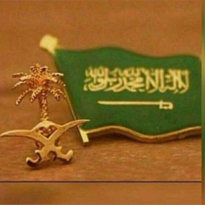 hattoma333's tweet photo. @9zzzzo ديرتي و داري الأول 
#مصري و الدم #سعودي https://t.co/BylCQhQWir
