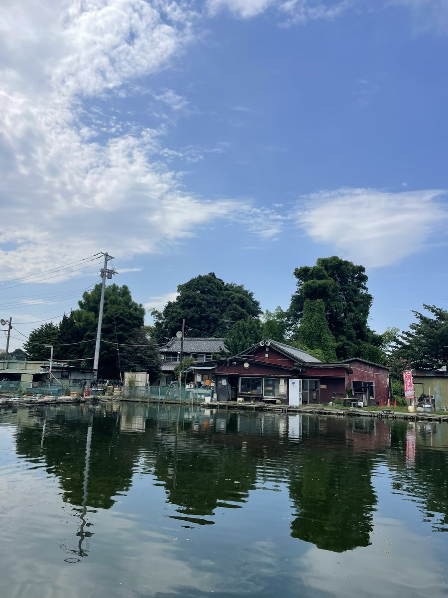 musashinoike's tweet photo. 暑い日が続きます…
事務所は冷房を効かせていますので、休憩にご利用下さい…
本日もたくさんのお客様ありがとうございました🐟
カッツケから底釣りまで楽しめます…
＃武蔵の池　＃へら鮒釣り　＃satto https://t.co/PYsqmhKD4k