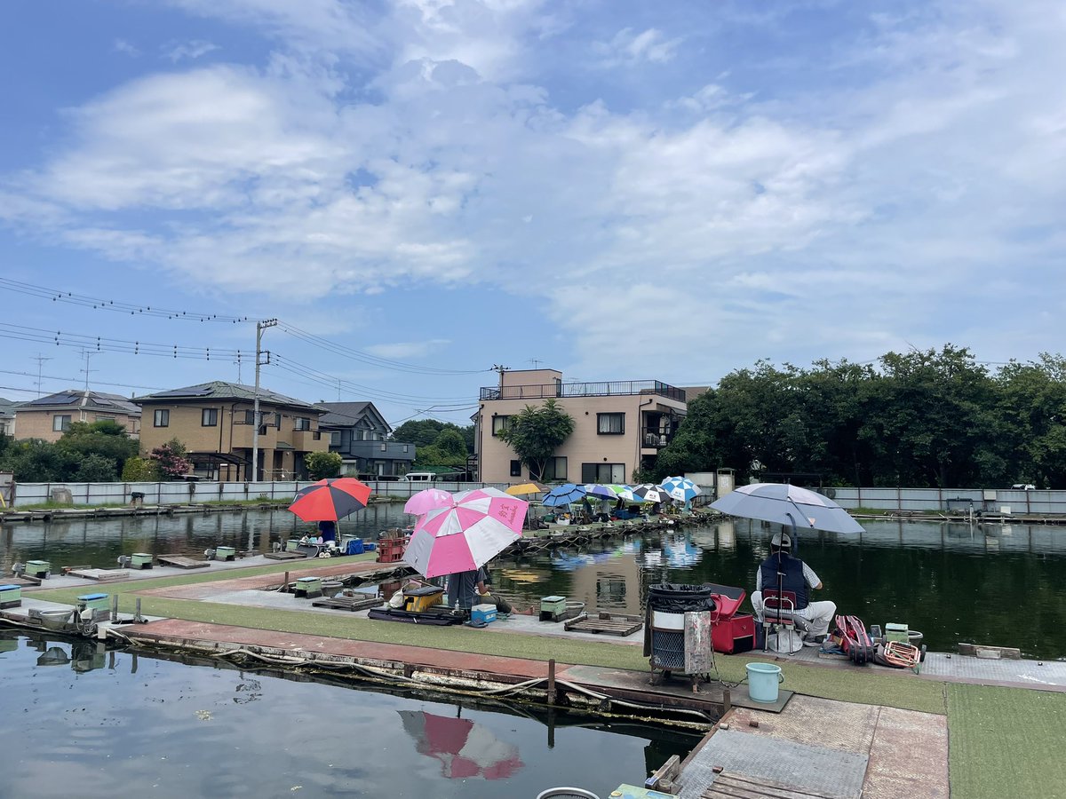 musashinoike's tweet photo. 暑い日が続きます…
事務所は冷房を効かせていますので、休憩にご利用下さい…
本日もたくさんのお客様ありがとうございました🐟
カッツケから底釣りまで楽しめます…
＃武蔵の池　＃へら鮒釣り　＃satto https://t.co/PYsqmhKD4k
