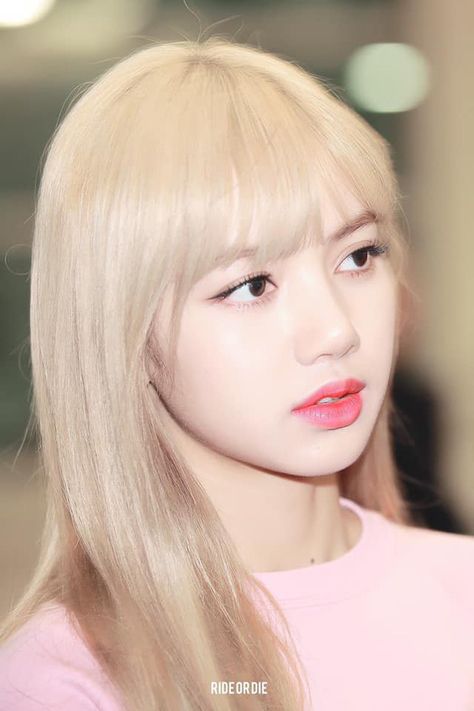 Josee52887333's tweet photo. Pastel blonde perfection soft makeup, airy vibes, and pure chic
qxo https://t.co/a5DlY704dl
