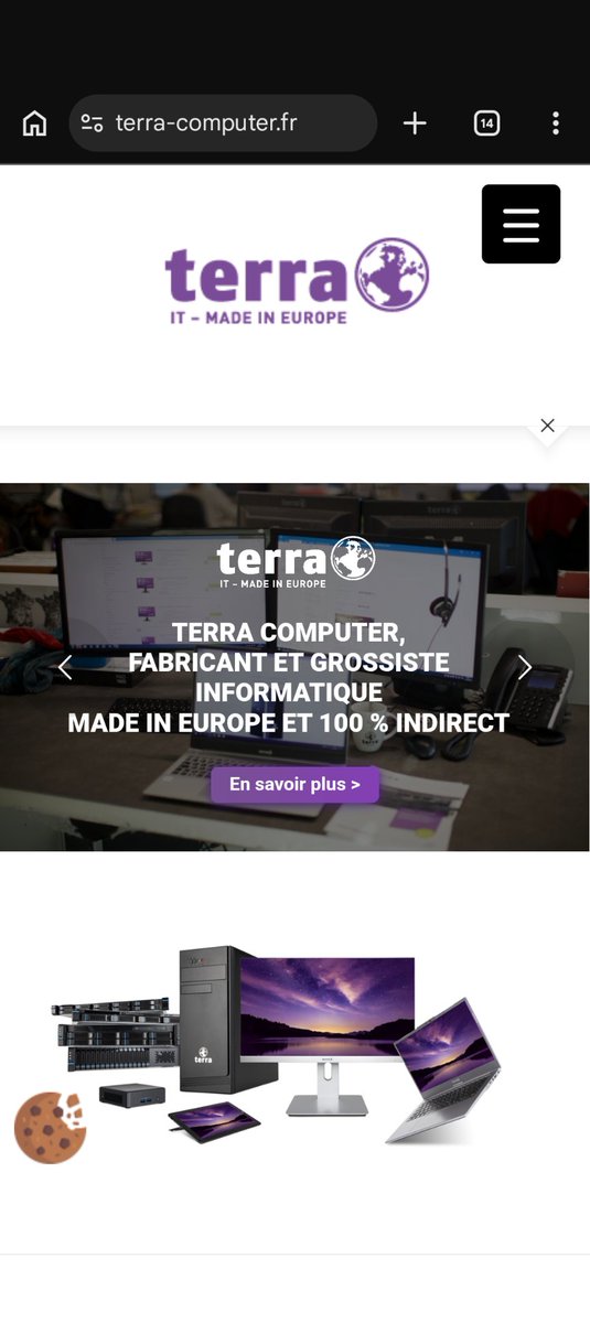 Fraiseberry tweet media