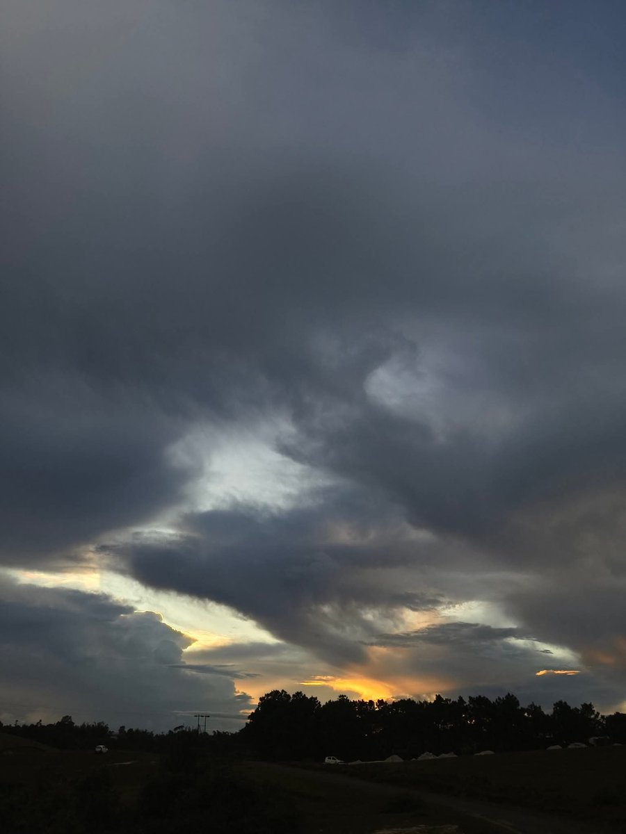 Realabhijeet2's tweet photo. Clouds and Flowers!! 🌥🌸
#photooftheday #thrusday #photography #PHOTOISM https://t.co/p2PjOTVOpZ