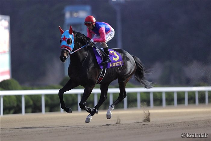 keibalab's tweet photo. 【ありがとうメイショウフンジン】
メイショウフンジン
Meisho Funjin
(牡8、栗東・秋山真一郎厩舎)
父ホッコータルマエ
母シニスタークイーン
母父シニスターミニスター
#メイショウフンジン #引退 #小倉競馬場 #乗馬
https://t.co/SBocn30OEe https://t.co/pZD4O1jeVl