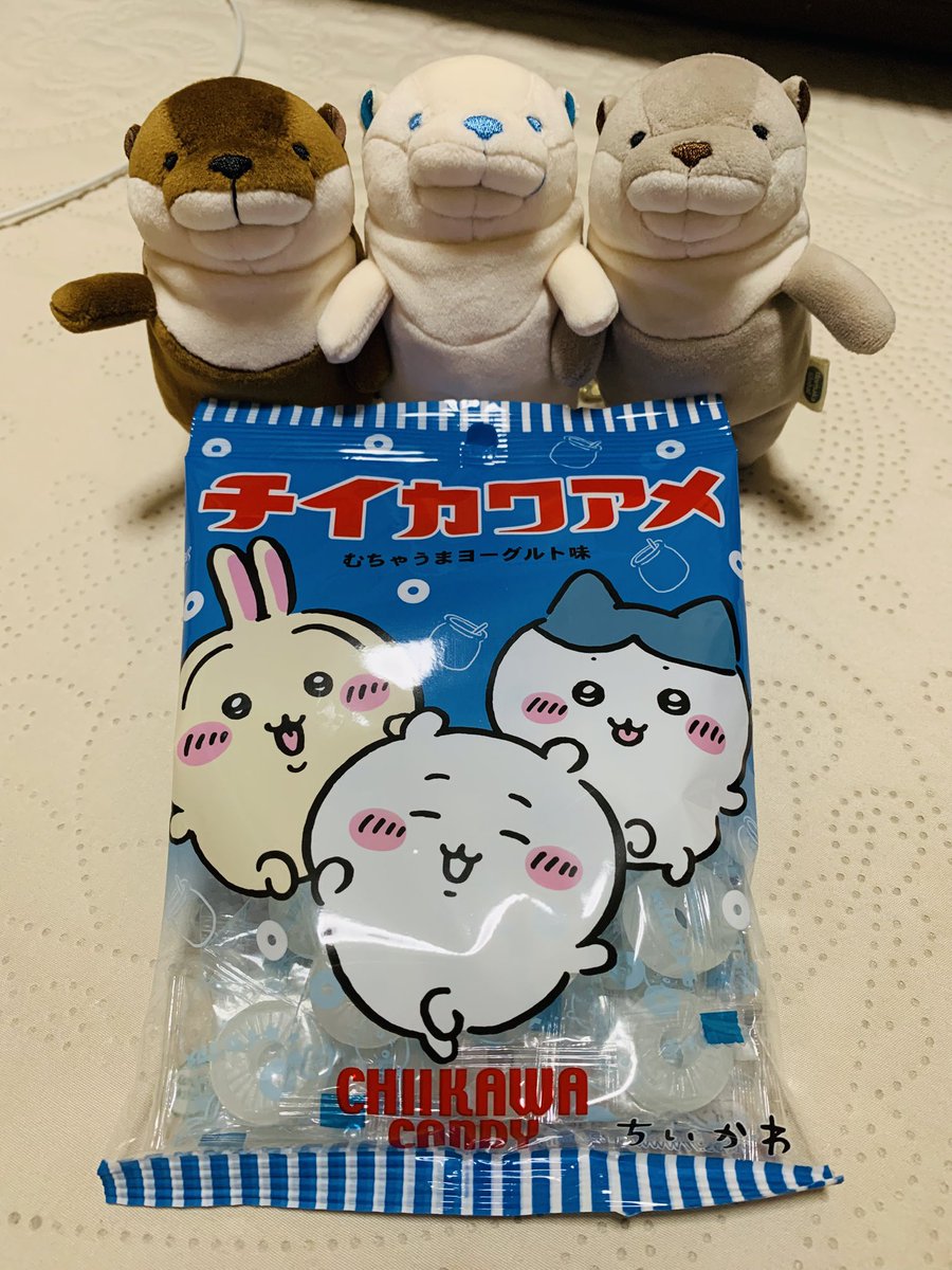 coconut_tunococ's tweet photo. チイカワアメ🍬

#ぬい撮り
#ぬいぐるみ
#もちかわうそ https://t.co/DpAUlwGAsK