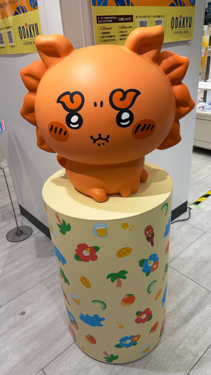 syoukom's tweet photo. 平日有給フル活用女
リハ、免許再交付、ポップアップ https://t.co/l8VfOuKp7c