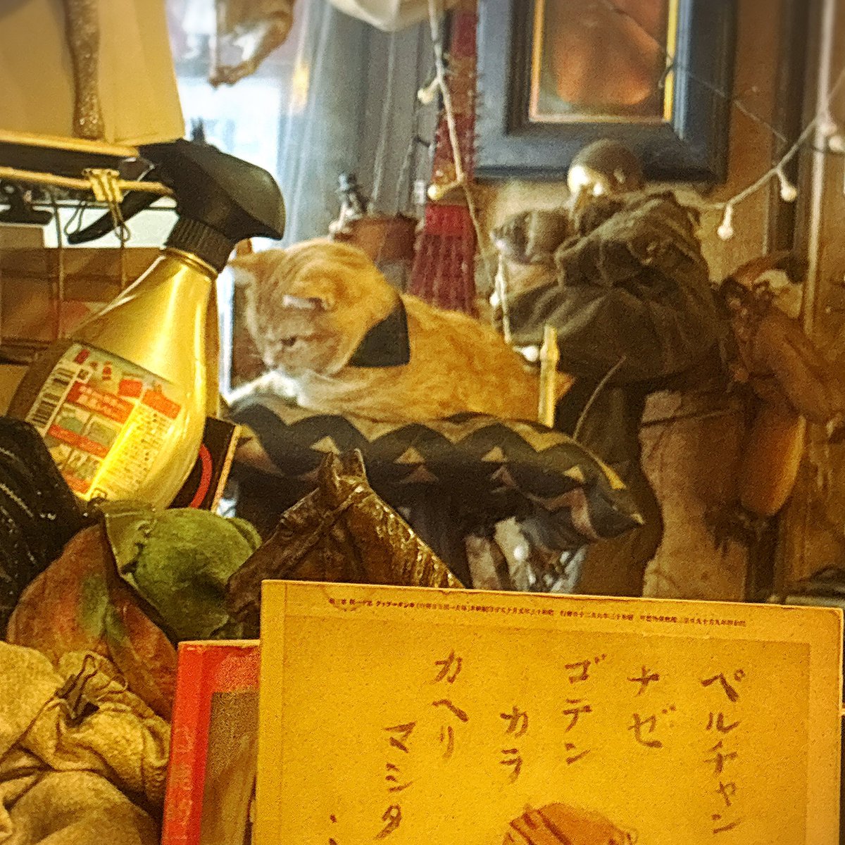satjanner's tweet photo. 猫ちゃんのいるカフェでご飯ฅ•ω•ฅ✨️
お会計しようとしたら
運動会が始まっちゃって、予定よりも長居してしまった(ฅωฅ`)♥
そのまま気になってたカフェ♡
はちみつレアチーズケーキとクリームソーダ！
とっても可愛いし、美味しかった☺️ https://t.co/MN7cFRno71