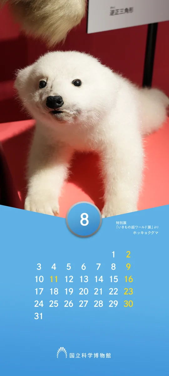 かはく【国立科学博物館公式】 on X: 