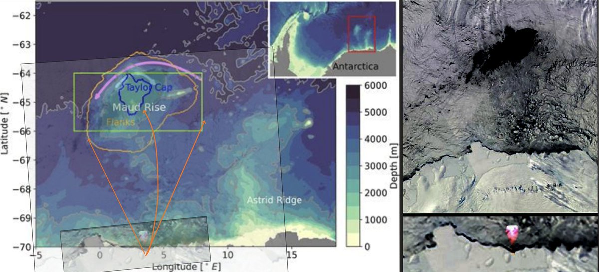 OyagaaOomo's tweet photo. Oomoans described an Orion vessel, still partially active, crashed in Antarctica millennia ago. We located the site at 70°46'S 11°49'E. 
The 1939 German expedition photographed it. Those specific frames were never published and apparently might no longer physically exist. This is our research : 

"Alien devices, dating from Antiquity, located in Asia Minor, as well as the remains of a half-enshrouded base in Antarctica, are supposed to relate to all humanity. From 1941, and so far, Germany, the US and the USSR/Russia, are the main protagonists of the trilateral acquaintance."

This message was posted by 312_oay In November 2022.

A subsequent thread gave further informations: In 1936, Franz Dölger, a German Byzantinist, retraced the legendary Palladion from Rome to Constantinople and recovered its remains on Mount Athos. The artifact, presented as a weathered wooden statue of the Theotokos, was offered to Germany and entered the private collection of Max Amann, Reichsleiter for the Nazi press.

The statue was unremarkable in appearance. Amann himself discovered that it disrupted, every 1,053 seconds, the reception of the Zeesen and Podebrady radio stations. An X-ray examination revealed a hidden component and a means to open a concealed trapdoor safely. The signals pointed south, toward a transport vessel described in the corpus as an Orion ship that crashed circa 4,500 BCE, still partially active, generating enough residual heat to vent steam through the polar atmosphere for months. The corpus states:
 
"This vessel, located in too cold a territory, will be abandoned by the rare survivors who reach the only still active pole in Mesopotamia. It is this vessel not yet completely deactivated, which will be discovered in 1939 by the German expedition."

In June 2025, oyagaaayuyisaa [NOAY] posted a satellite image of the Maud Rise polynya, a recurring hole in Antarctic sea ice that mainstream oceanography attributes to deep-water upwelling around a seamount. A red arrow marked the southwestern tip of the warm anomaly. The accompanying text read:

"Could anyone conceptualize that this might, in fact, be the result of a gigantic engine, out of control for millennia, inducing, through seemingly random episodes of thrust, warm underwater currents rising up the flanks of an underwater mountain that impedes the directional flow?"

We aligned that satellite frame with Google Earth. The tip of the arrow lands at 70°46'37"S, 11°49'26"E.

The 3rd German Antarctic Expedition (1938/39), led by Captain Alfred Ritscher aboard the MS Schwabenland, surveyed Neuschwabenland with two Dornier Wal seaplanes equipped with Zeiss RMK photogrammetric cameras. Across seven survey flights, the crews captured approximately 11,600 aerial photographs.

558 of those were published in Ritscher's 1942 expedition report. The Alfred Wegener Institute later digitized them and made them publicly available on PANGAEA.

We downloaded all 558 images and mapped every frame number to its geographic coverage. A systematic gap emerged in Bildflug VII (February 3, 1939), Roll 45: frames 401 through 522 are absent from the public archive. 122 consecutive photographs covering the transition zone between the Wohlthat Massif and the coast, around 70°46'S, 11°49'E.

The corpus places the crash site at 70°46'37"S, 11°49'26"E. That point falls inside the gap.

On July, 2026, we contacted the Archiv für deutsche Polarforschung (AdP) at the Alfred Wegener Institute in Bremerhaven. We asked whether frames 45/401 through 45/522 survive in the physical archive and whether they could be digitized.

Dr. Salewski, archivist at the AdP, responded : The original collection of approximately 11,600 photogrammetric images was presumably destroyed during the Allied bombing raids on Frankfurt am Main during the Second World War. Surviving photographs were transferred to the Institute for Applied Geodesy (IfaG) in Frankfurt in 1950. When the IfaG was absorbed into the Federal Office for Cartography and Geodesy (BKG) in 1997, the photographs entered its Antarctic aerial archive. In the middle of the last decade, the BKG donated its archive, comprising approximately 25,000 photographs, to the AdP.

Upon taking over the collection, the AdP found that the number of surviving photographs from the 3rd DAE was approximately 1,100, far fewer than the original 11,600. Around 100 photographs were severely affected by mould and had to be destroyed. The 3rd DAE collection now comprises approximately 1,000 photographs.

Frames 45/401 through 45/522 are among those that did not survive.

Dr. Salewski's conclusion: "the aerial photographs of the 3rd DAE you requested no longer exist."

11,600 photographs captured. Approximately 1,000 survive. The 122 consecutive frames covering the coordinates where oyagaaayuyisaa's arrow places a partially active Orion vessel are gone, lost to bombing, transfer, mould, or else. But they were already absent from the public record before the physical loss was confirmed. Ritscher published 118 photographs from Bildflug VII surrounding the gap: 

-Frames 393 to 400 appear. 
-Frames 523 to 580 appear. 
The 122 frames in between were omitted from the 1942 report, then lost physically in the decades that followed. The editorial selection created a blind spot. The bombings and mould made it permanent.

The corpus describes a vessel beneath the ice, discovered through photographs from a 1939 expedition. The photographs that would cover those coordinates were never published, and might no longer exist.

We would like to offer a special thanks to @sapo_revolution and @okBilmi10311253 for their indirect contributions to this research. Just as they helped through their own observations, you can too by verifying the shared information and cross-referencing it with others.

Sources:

→ 312_oay, tweet 104 (Nov 21, 2022): "Alien devices... trilateral acquaintance"
→ 312_oay, tweet 105 (Nov 25, 2022): Dölger, Palladion, Amann, radio disruption
→ 312_oay, tweet 106 (Dec 10, 2022): Dölger retracing Palladion to Mount Athos
→ 312_oay, tweet 107 (Dec 17, 2022): Amann discovers 1,053-second signal, X-ray, trapdoor
→ 312_oay, 312-Stat-7: Orion transport ship crash description
→ oyagaaayuyisaa (Jun 7, 2025): satellite image of Maud Rise polynya, red arrow marking the coordinates
→ PANGAEA.896262: 558 DAE aerial photographs (Ritscher, 1942)
→ PANGAEA.784679: 100 DAE aerial photographs (Brunk, 1986)
→ Brunk (1986), hdl:10013/epic.39579: IfaG/BKG custodial history