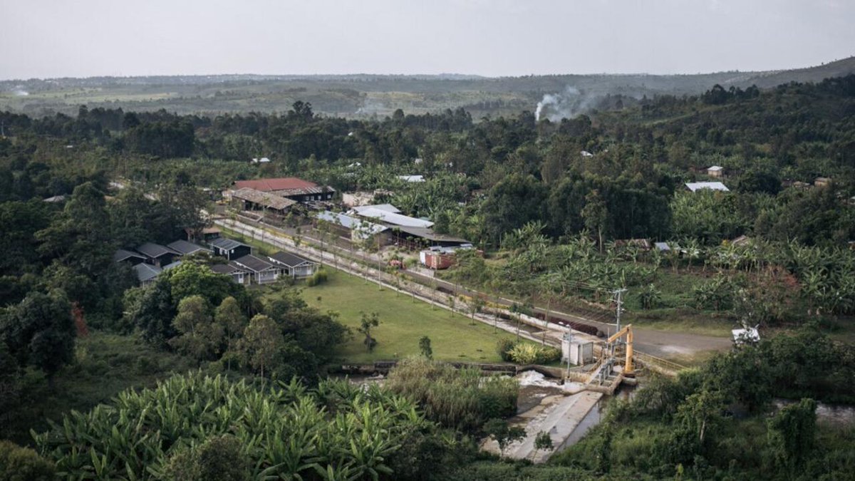 RFIAfrique's tweet photo. RDC: Greenpeace alerte sur les menaces qui pèsent sur le couloir vert Kivu-Kinshasa https://t.co/Wihzg7RBVw https://t.co/Miy9kENxs7