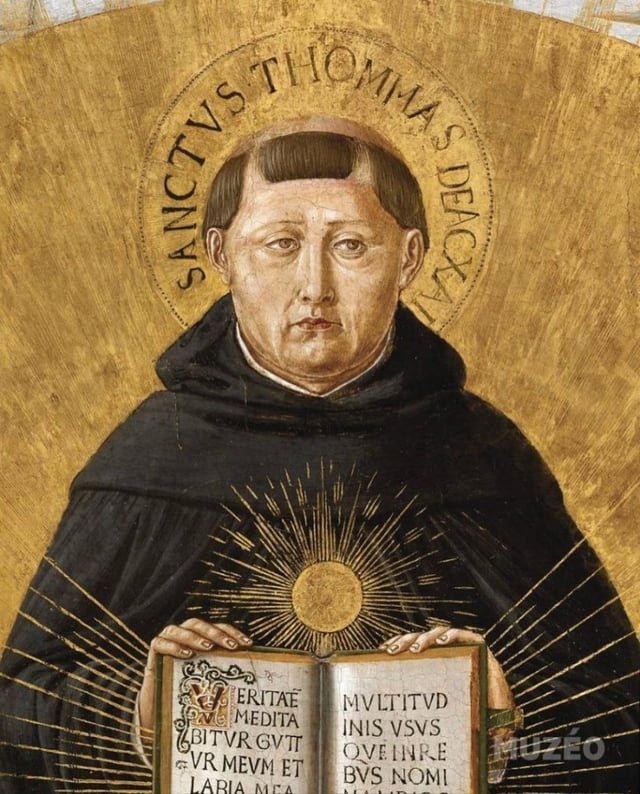 GloryBeeGod4evr's tweet photo. Whenever you ask for mercy you shall receive it, provided you ask with repentance for your sin. 

- St. Thomas Aquinas https://t.co/t4AdkNamEp