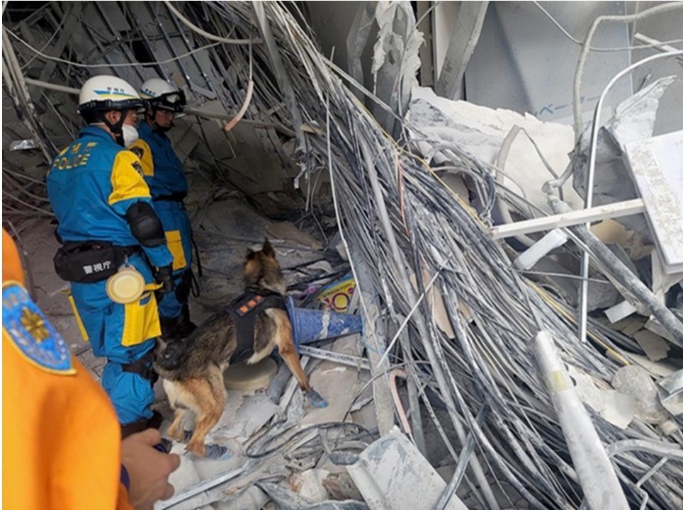 NPA_saigaiKOHO's tweet photo. 警視庁や熊本県警察の警察犬も出動しています。被災した建物内に取り残されている方がいないか、捜索活動に当たっています。 https://t.co/gvrl7KwYz5
