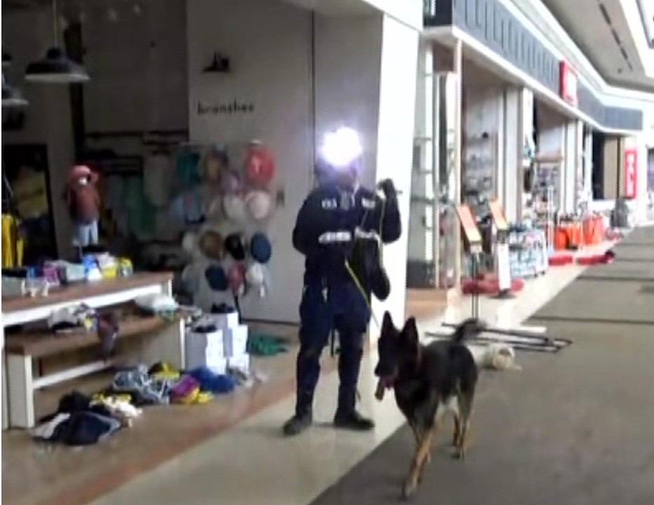NPA_saigaiKOHO's tweet photo. 警視庁や熊本県警察の警察犬も出動しています。被災した建物内に取り残されている方がいないか、捜索活動に当たっています。 https://t.co/gvrl7KwYz5