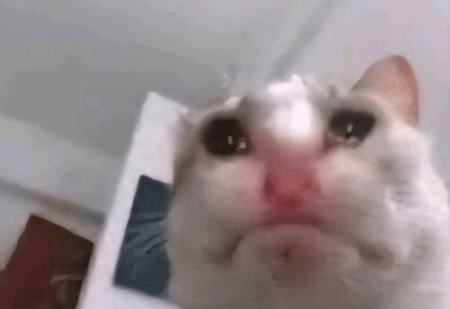 wonjjk's tweet photo. @rainfallsy 💔☹️ AND I LOVE HIM im soooo happy i got it to him https://t.co/jSmWk9UAfc