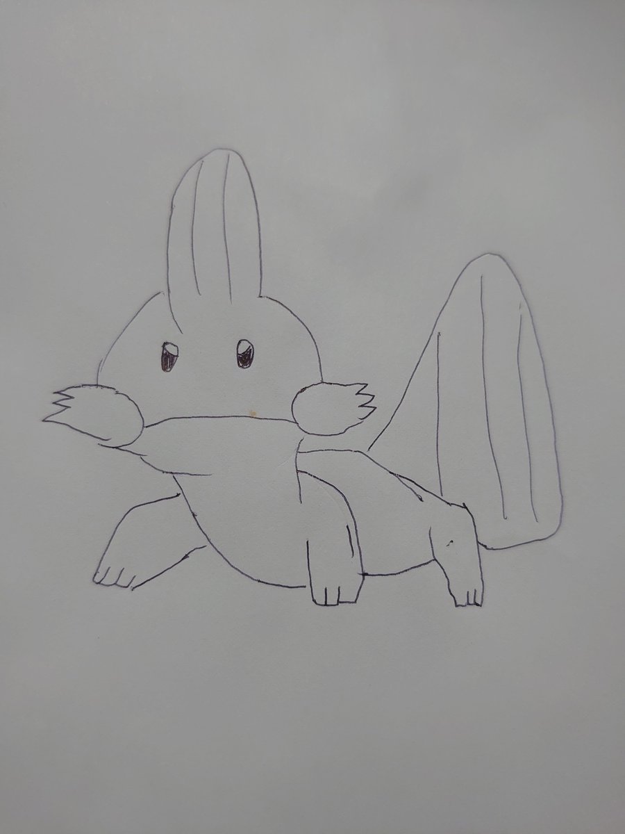 sumihira_day's tweet photo. ミズゴロウ https://t.co/JjsCpysfQ0