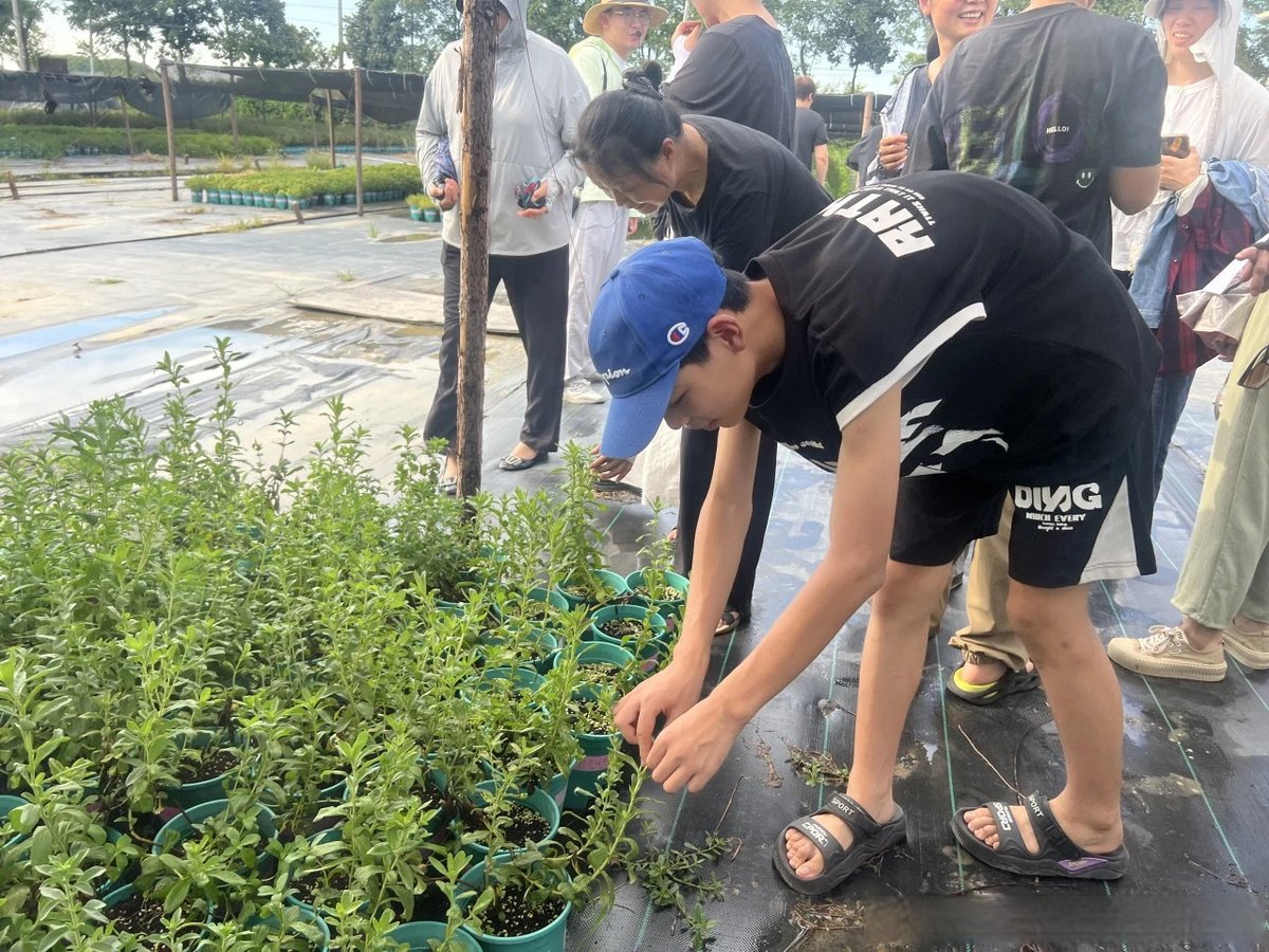 ChloeSherow's tweet photo. Join our neighborhood plant swap this Saturday (10am-1pm) at Central Park! Bring extra plants, cuttings, or gardening tools u0026 take new ones. Free fun for all ages—meet your neighbors! https://t.co/OiZjTsJIEu