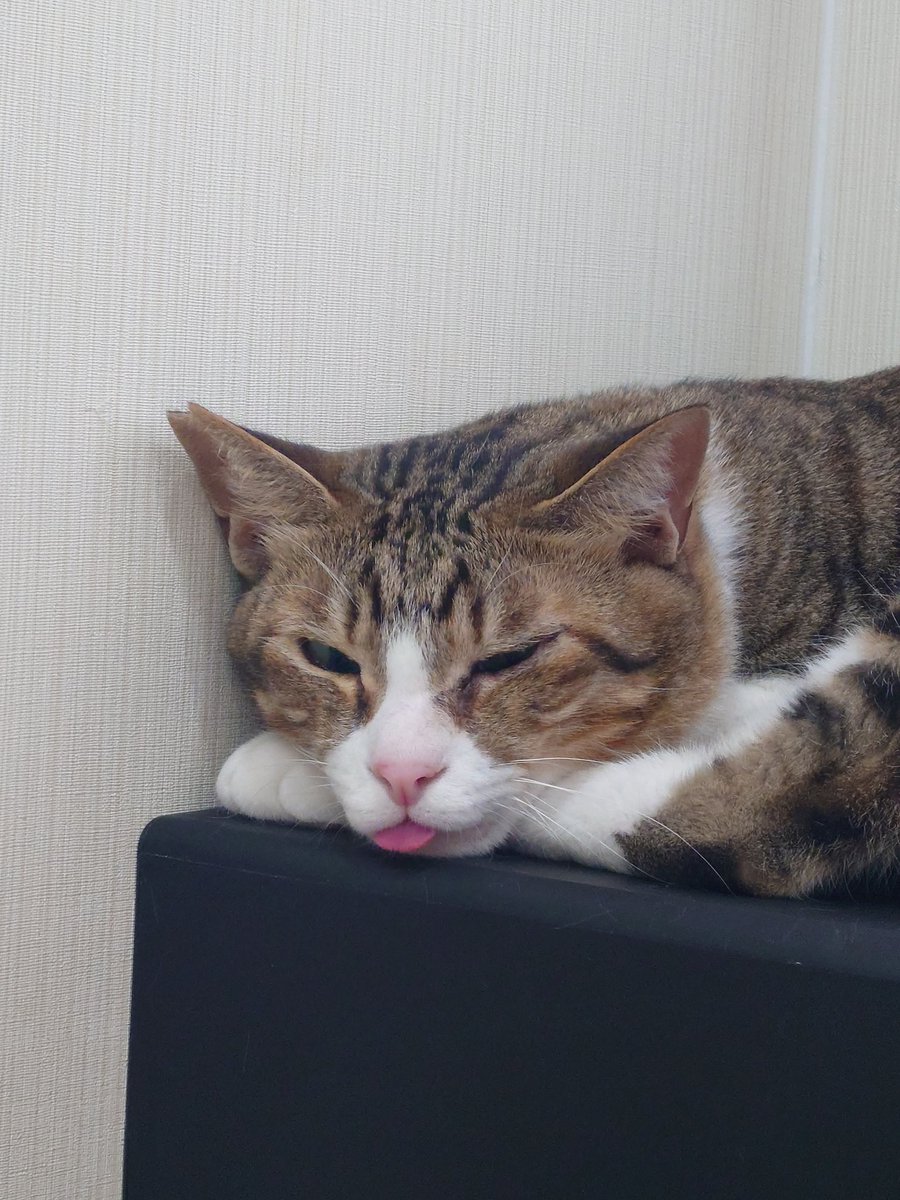 akala51's tweet photo. 出とるね（´(ｪ)｀） https://t.co/vJlEzaVcOC