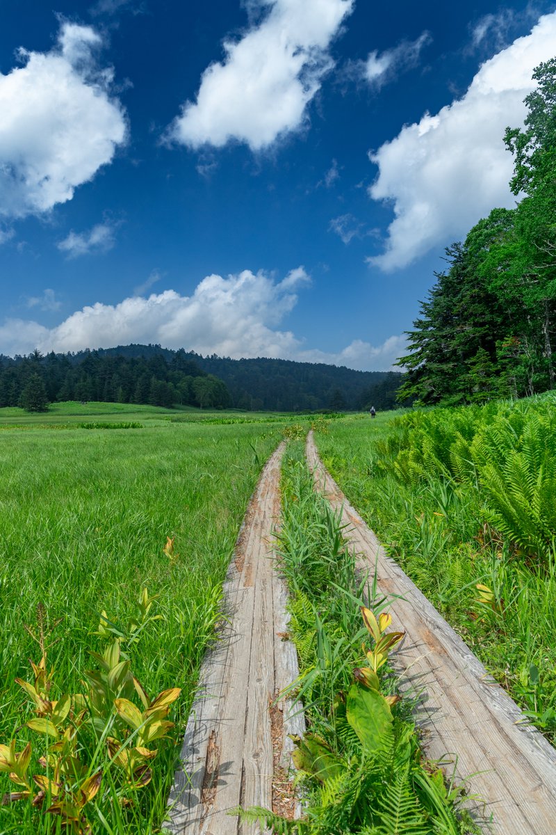 nag1_r's tweet photo. どこまでも続く夏の尾瀬の絶景 https://t.co/IhSUn4OmNm