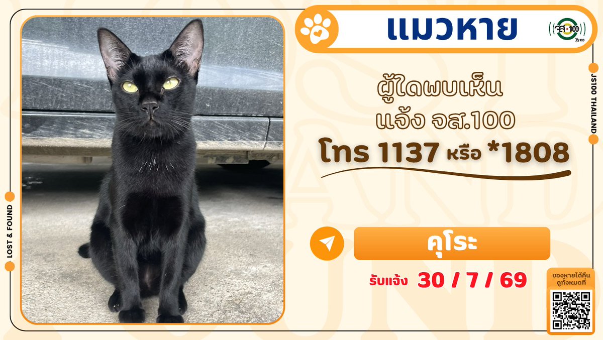 js100radio's tweet photo. แมวติดรถเพื่อนบ้าน หายจากซ.อินทามระ 8 เขตพญาไท ผู้ใดพบเห็นแจ้ง JS100 โทร *1808 หรือ 1137

รายละเอียดเพิ่มเติม : https://t.co/ILw3VR5994

#แมวหาย #ตามหาแมวหาย #JS100 https://t.co/fhFZoVRZ62