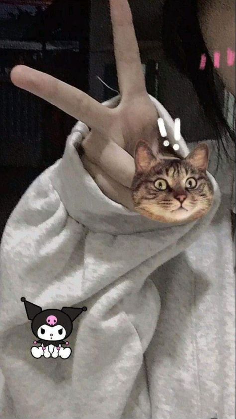 SBanger23's tweet photo. When your cat photobombs your cozy hoodie pose and steals the show Peace sign with a side of chaos
HhA https://t.co/K3LKG0F4pI