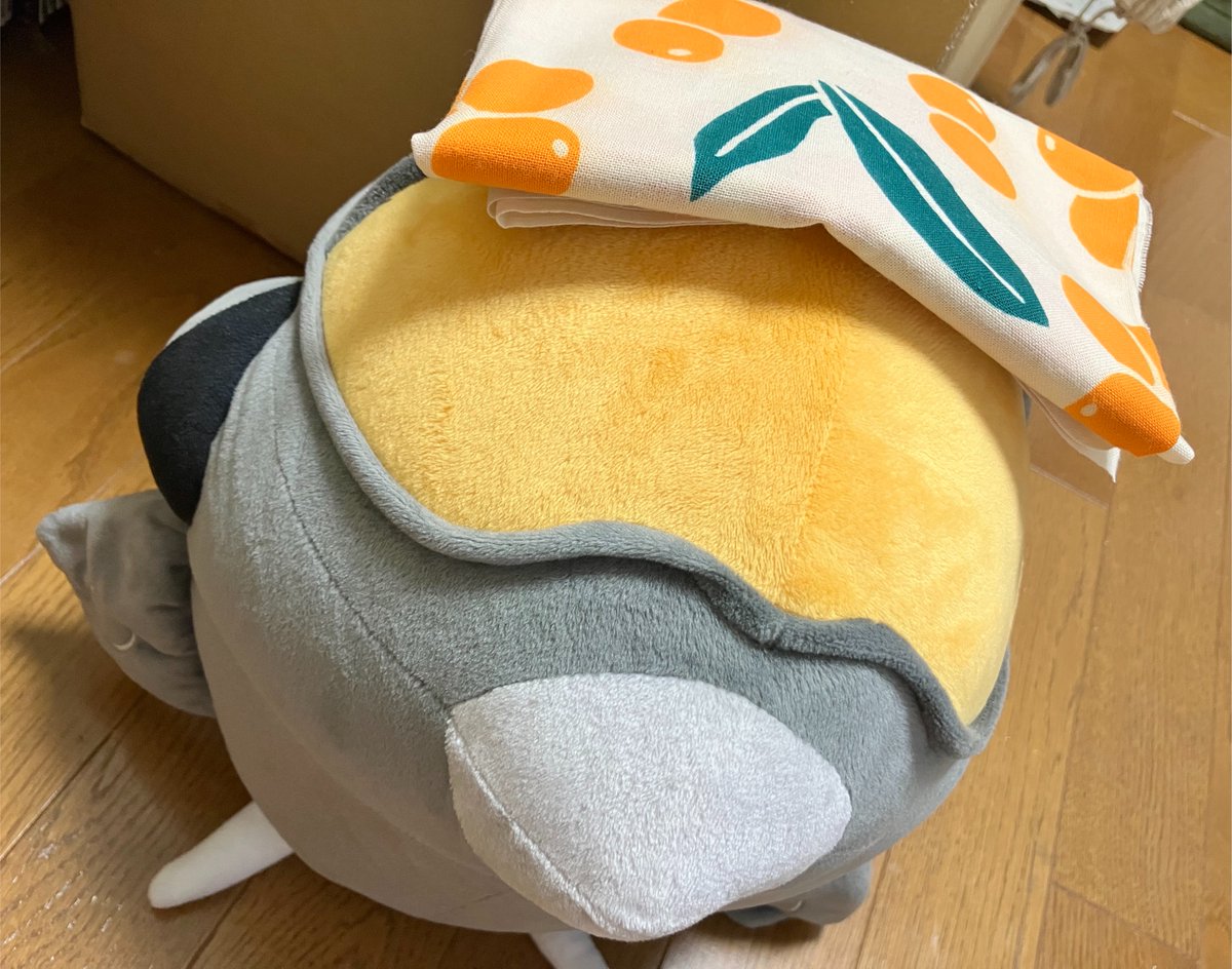nagatolove7's tweet photo. 富浦限定の枇杷手拭いがオシャレ。 https://t.co/qZOpo6DbPQ