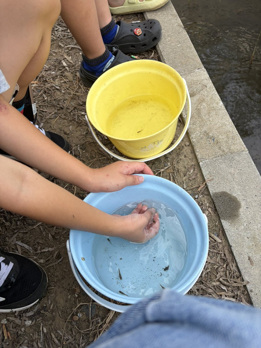 G_licoura's tweet photo. 子供達とサイコーに夏してる。 https://t.co/hYK36ueDDA