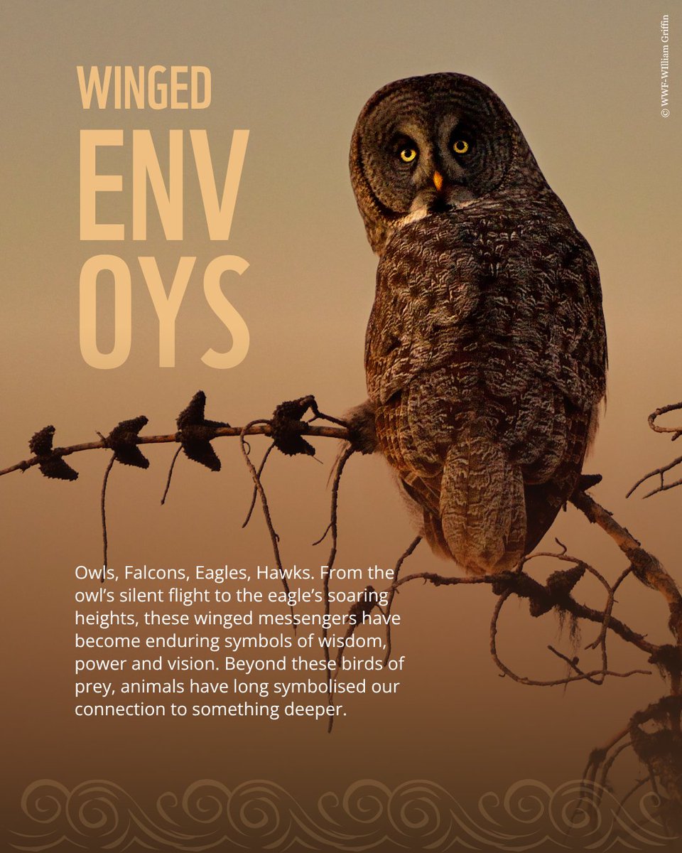 WWF's tweet photo. From soaring mountains to winding rivers, the path to every great odyssey home is paved with nature’s greatest marvels.   
   
These marvels go back thousands of years. Woven into mythology, rich in symbolism, and full of meaning. They show our deep, ancient connection with nature.  
   
Protecting nature has always been part of who we are.