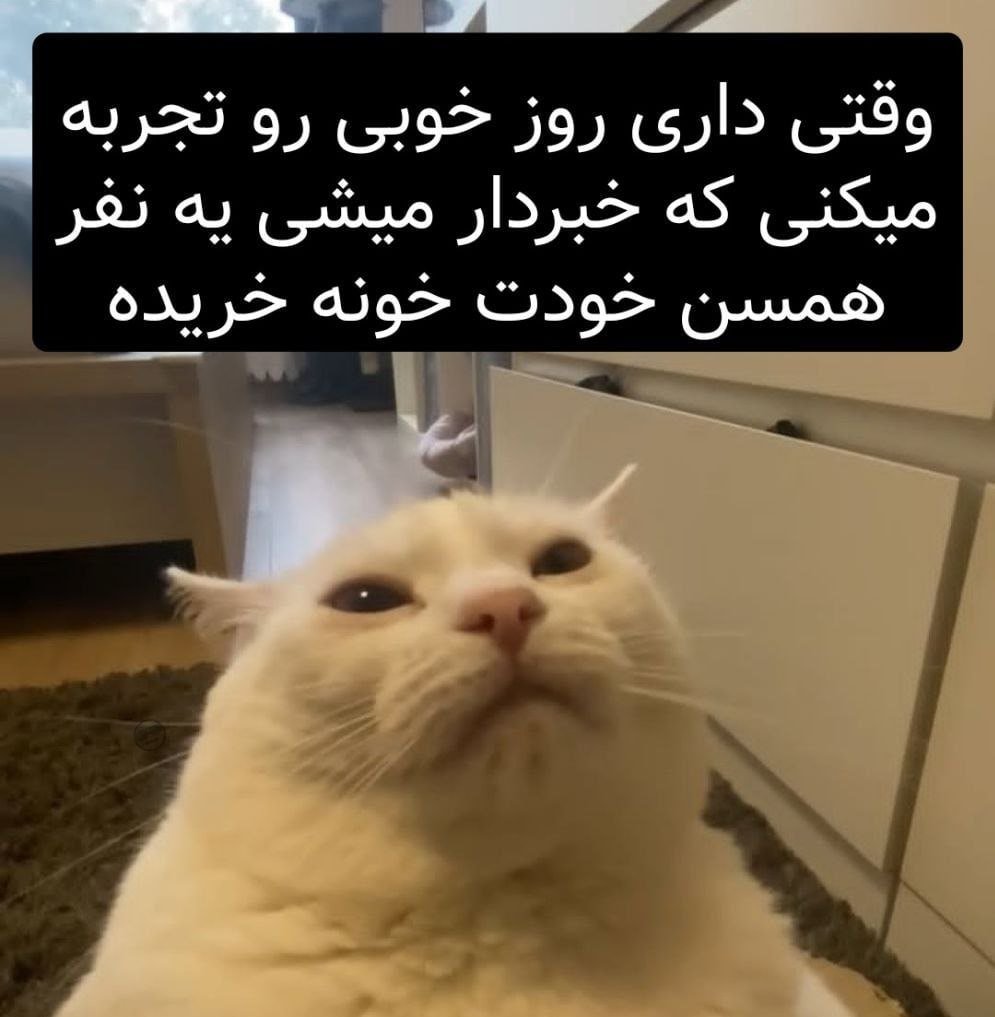 379Talks's tweet photo. https://t.co/hhxgnXWiSm