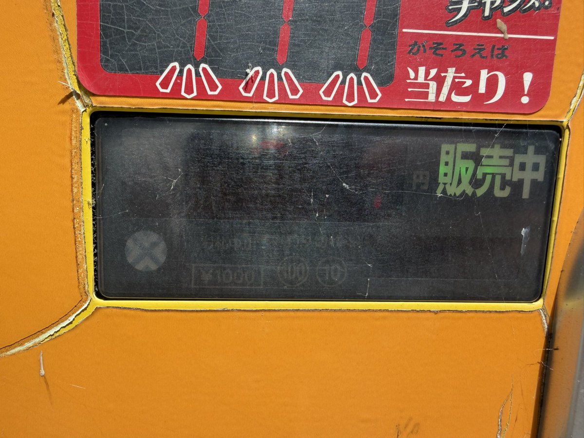 ほし tweet media