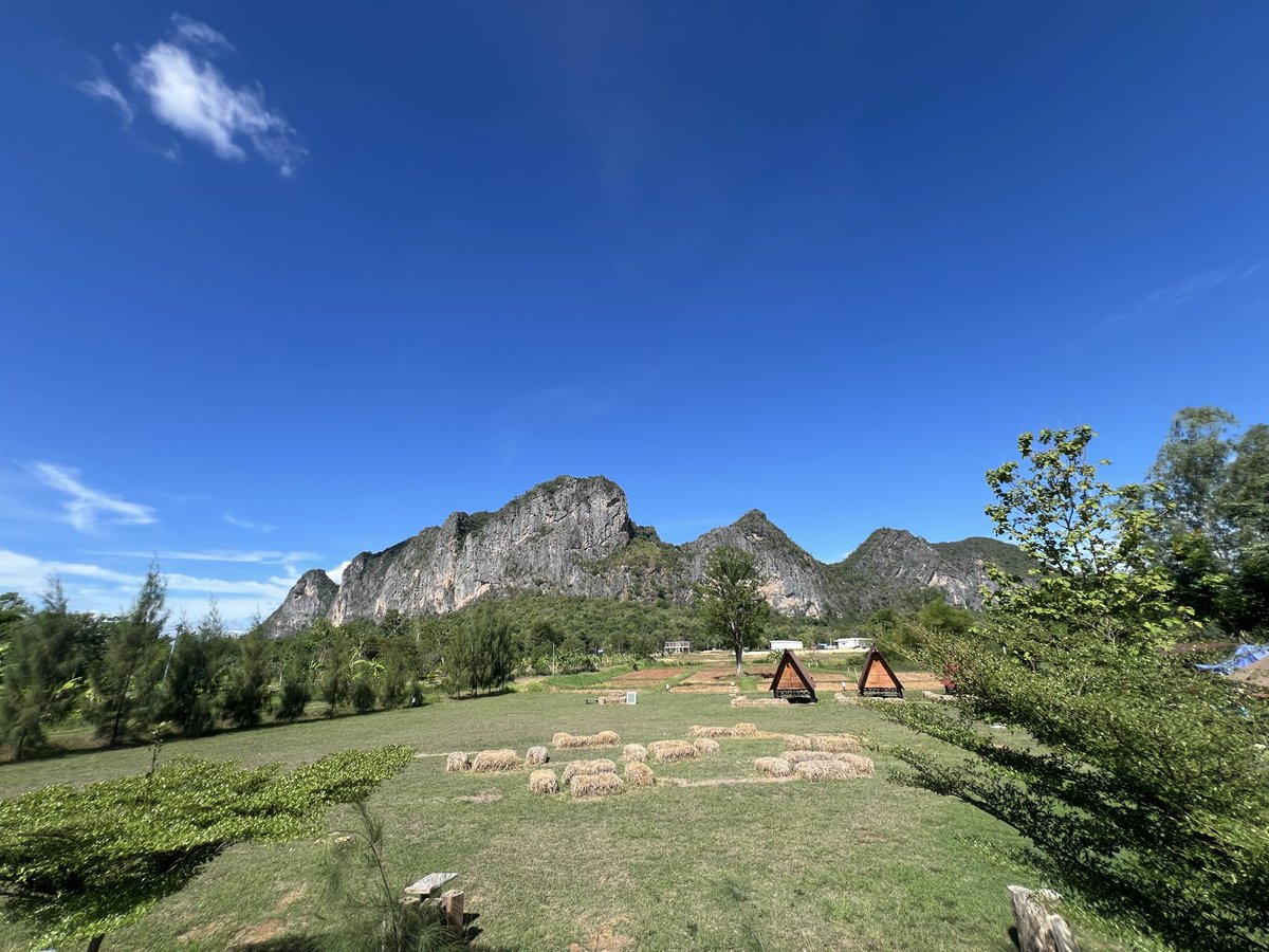 Ms1999ss's tweet photo. หยุดยาวที่ภูผาม่าน⛰️
#ภูผาม่าน #ขอนแก่น #วันหยุด
#ร้อยเอ็ด https://t.co/ZcAsAk5gwK