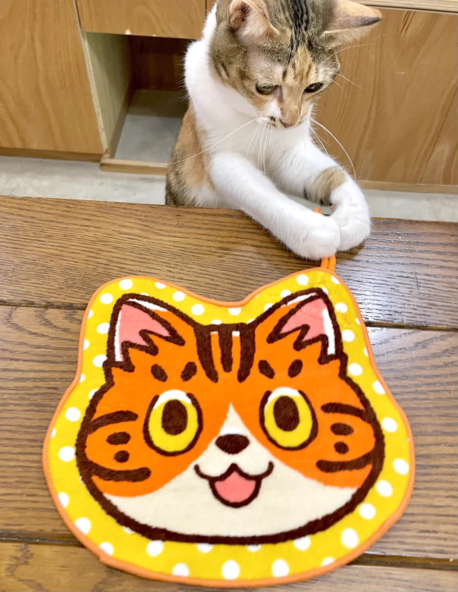 24時間以内売れなければ300円✨A4大サイズ手作り額付作品 「旅するニャンコ」 イシデ電 в X: „『ぴいころピッコ』原画展＠キャッツミャウブックスの